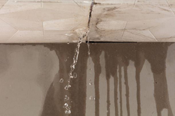 Professional Structural Drying technician working in North Lima, OH